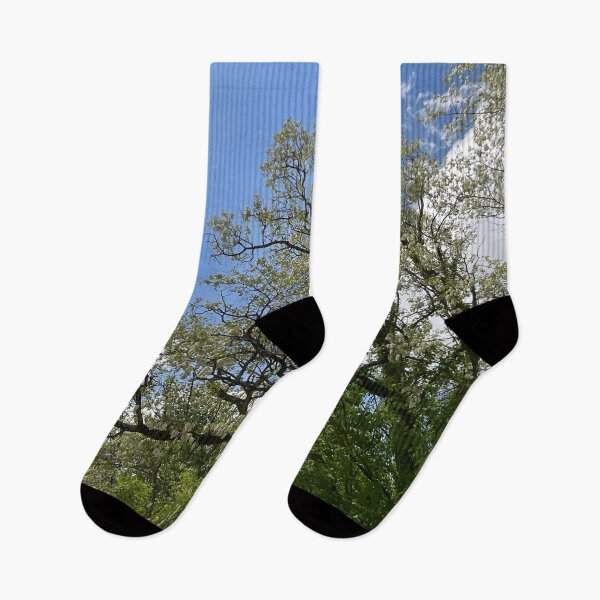 Item preview, Catalpa Alpha 15 designed and sold by Abeink1030.