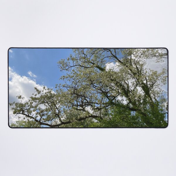 Item preview, Catalpa Alpha 15 designed and sold by Abeink1030.