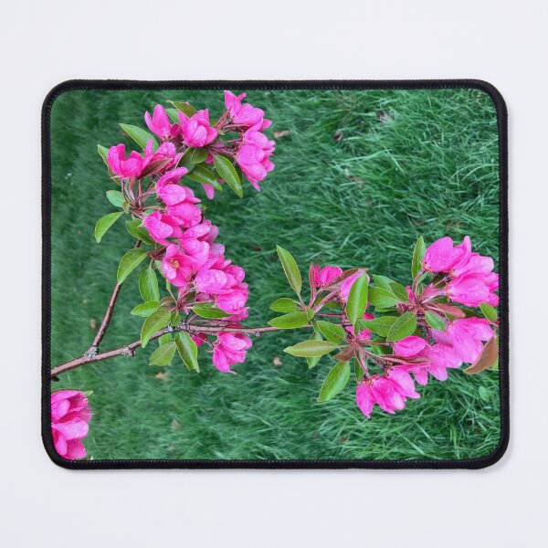 Item preview, Branch of a Blooming Tree designed and sold by Amanda1775.