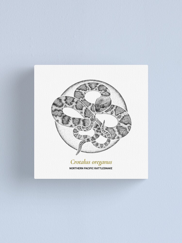 Alternate view of The Circles of Life: Northern Pacific Rattlesnake Canvas Print