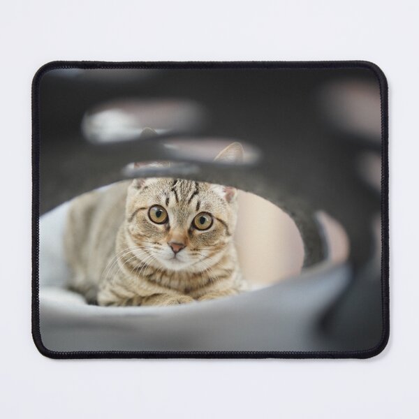 Item preview, Curious Tabby in the Tunnel designed and sold by マロンズ アトリエ.