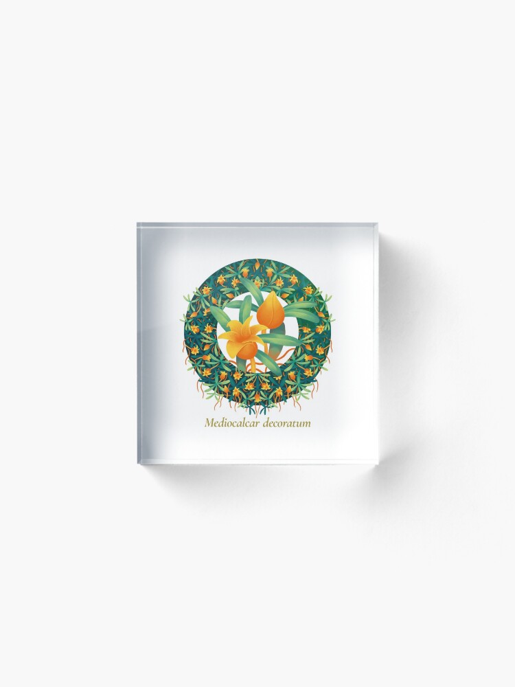 Alternate view of The Circles of Life: Mediocalcar decoratum Acrylic Block