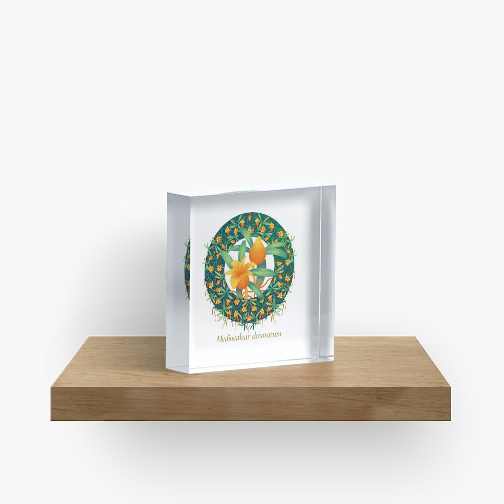 The Circles of Life: Mediocalcar decoratum Acrylic Block