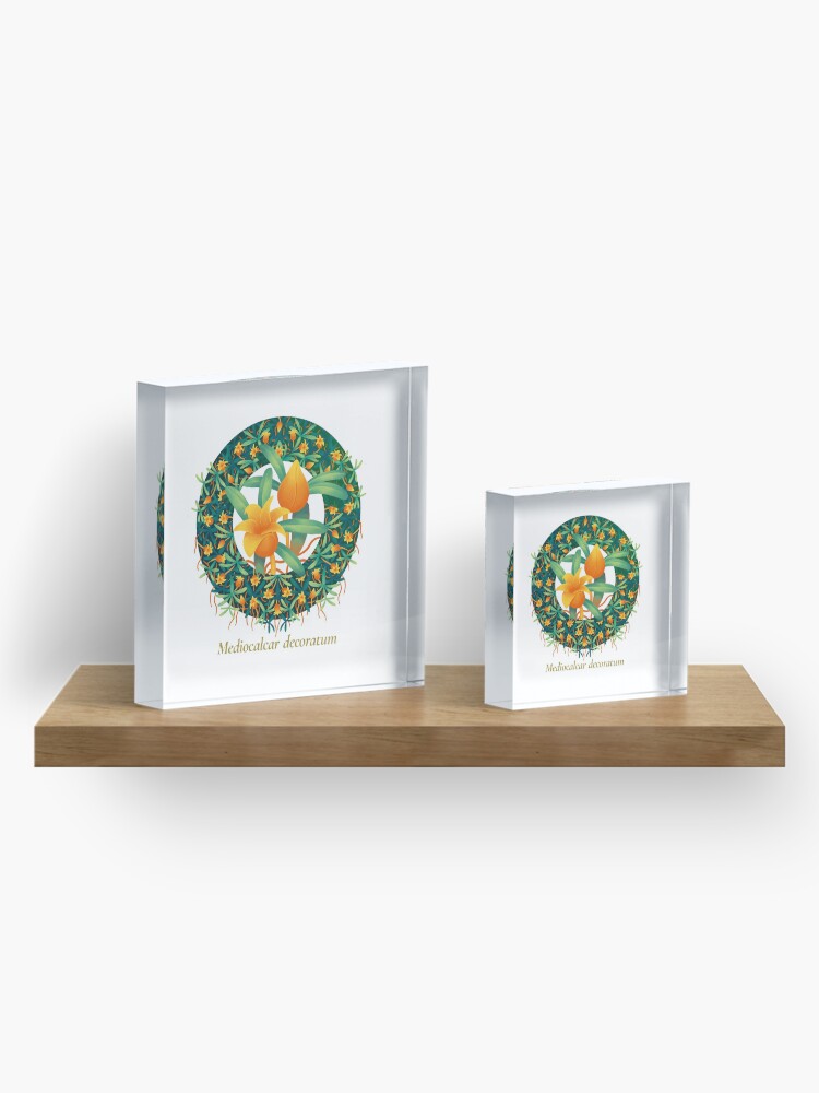 Alternate view of The Circles of Life: Mediocalcar decoratum Acrylic Block