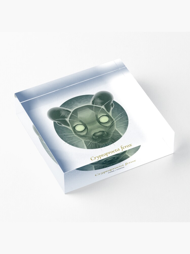 Alternate view of The Circles of Life: Fosa / Fossa Acrylic Block