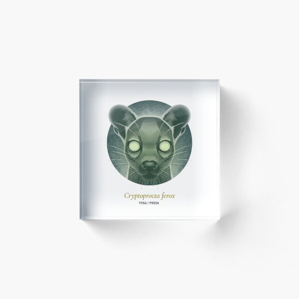 The Circles of Life: Fosa / Fossa Acrylic Block