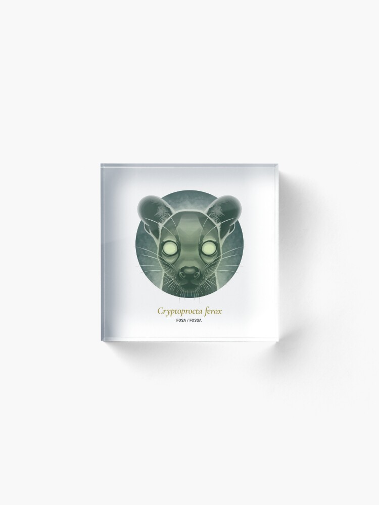Alternate view of The Circles of Life: Fosa / Fossa Acrylic Block