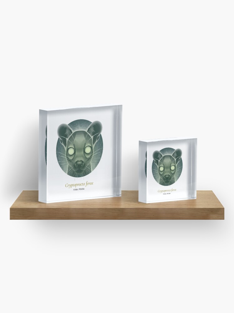 Alternate view of The Circles of Life: Fosa / Fossa Acrylic Block