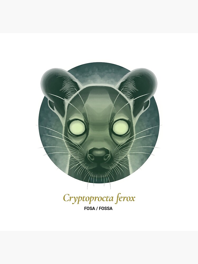 The Circles of Life: Fosa / Fossa by franzanth