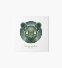 The Circles of Life: Fosa / Fossa Art Board Print