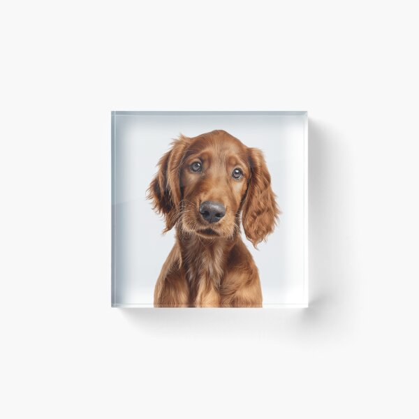 Item preview, Adorable Irish Setter Pup for Cute Red Setter puppy lovers designed and sold by LazyOwlStore.