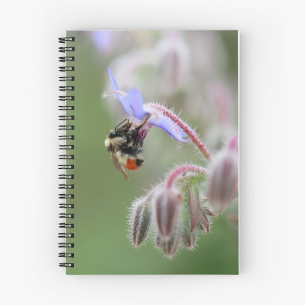Item preview, Bee and borage designed and sold by elainefg.