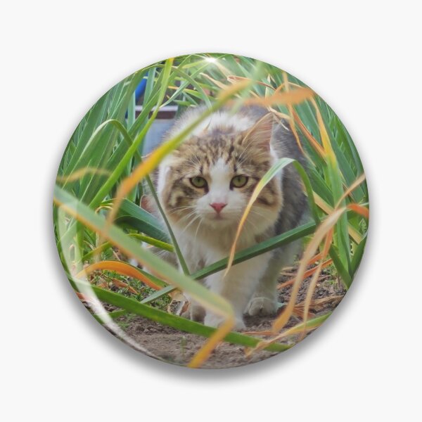 Item preview, Curious Kitty Among Green Plants | Nature Cat Photography designed and sold by MB-CatPrints.