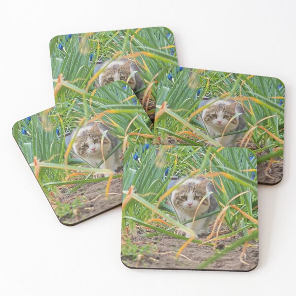 Item preview, Curious Kitty Among Green Plants | Nature Cat Photography designed and sold by MB-CatPrints.