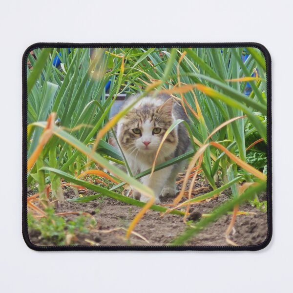 Item preview, Curious Kitty Among Green Plants | Nature Cat Photography designed and sold by MB-CatPrints.
