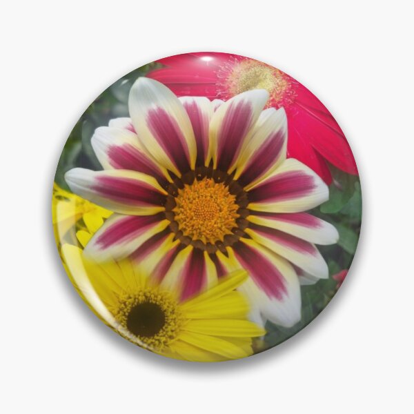Item preview, Gerbera and Gazania daisies from Cyprus - photo designed and sold by TB-73.