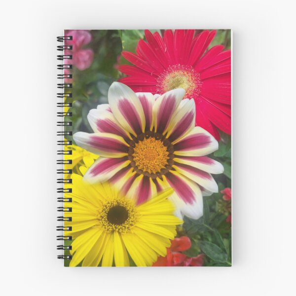 Item preview, Gerbera and Gazania daisies from Cyprus - photo designed and sold by TB-73.