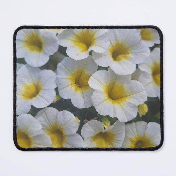 Item preview, Million Bells - Calibrachoa White Spring flowers from Cyprus designed and sold by TB-73.