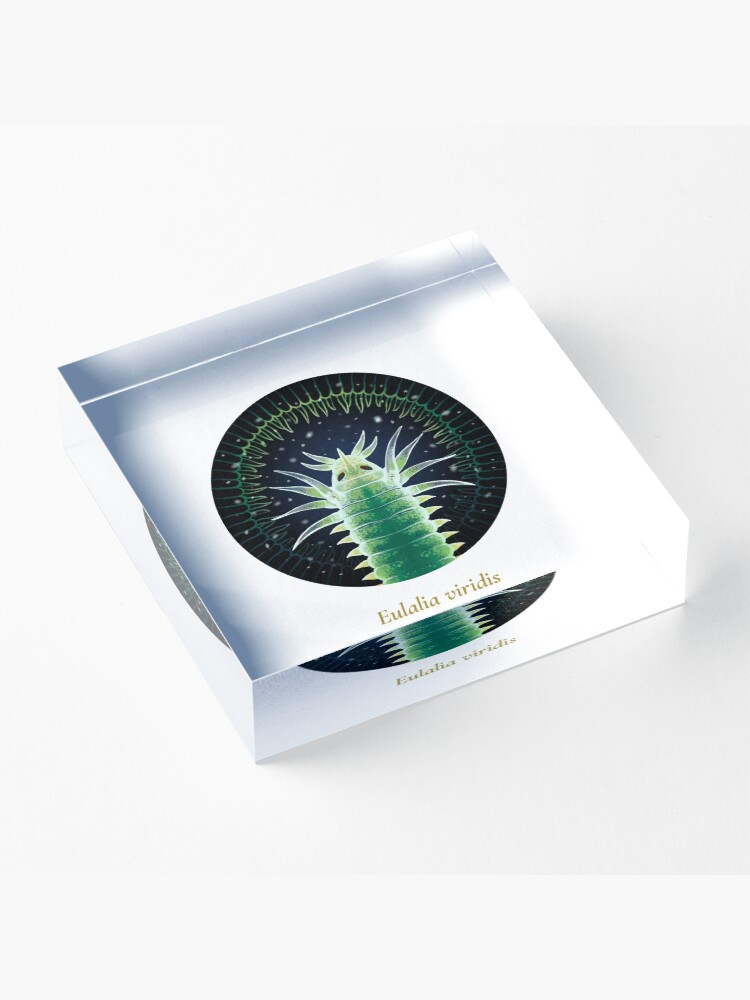 Alternate view of The Circles of Life: Eulalia viridis Acrylic Block