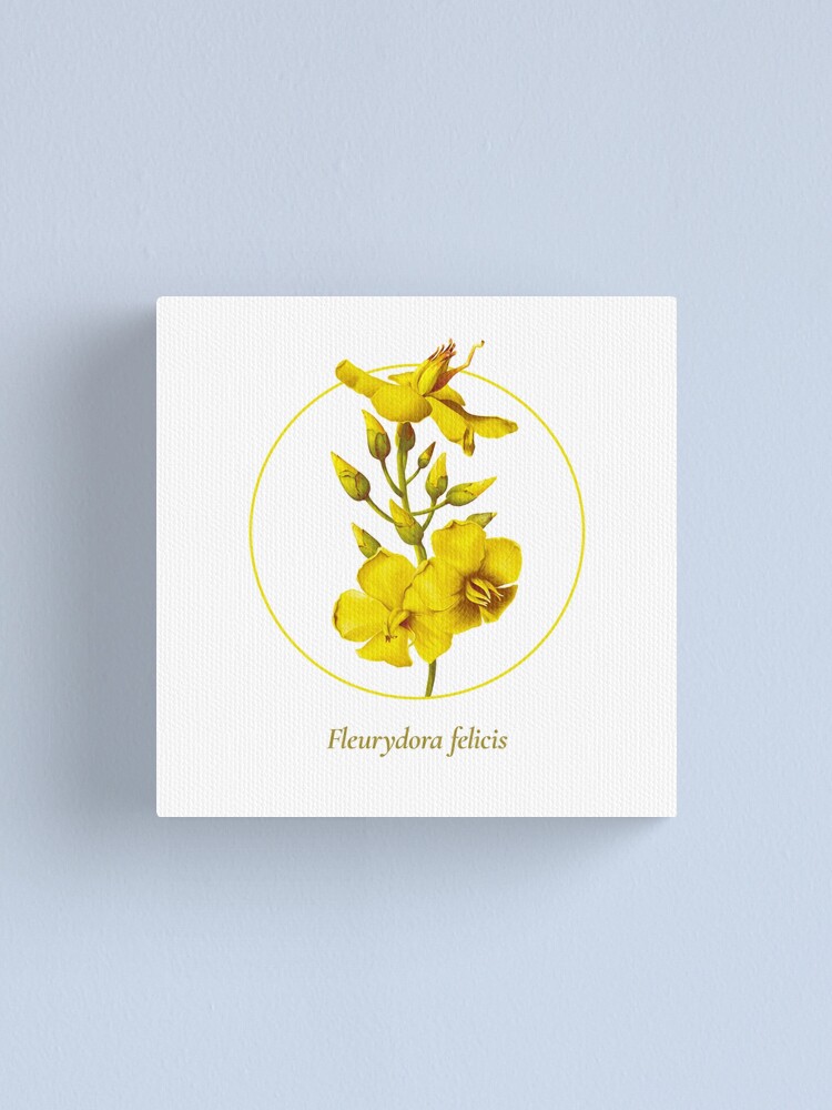 Alternate view of The Circles of Life: Fleurydora felicis Canvas Print