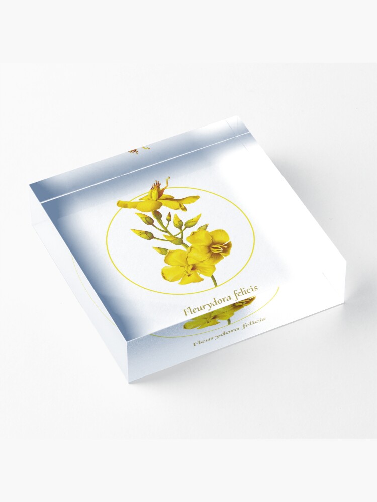 Alternate view of The Circles of Life: Fleurydora felicis Acrylic Block