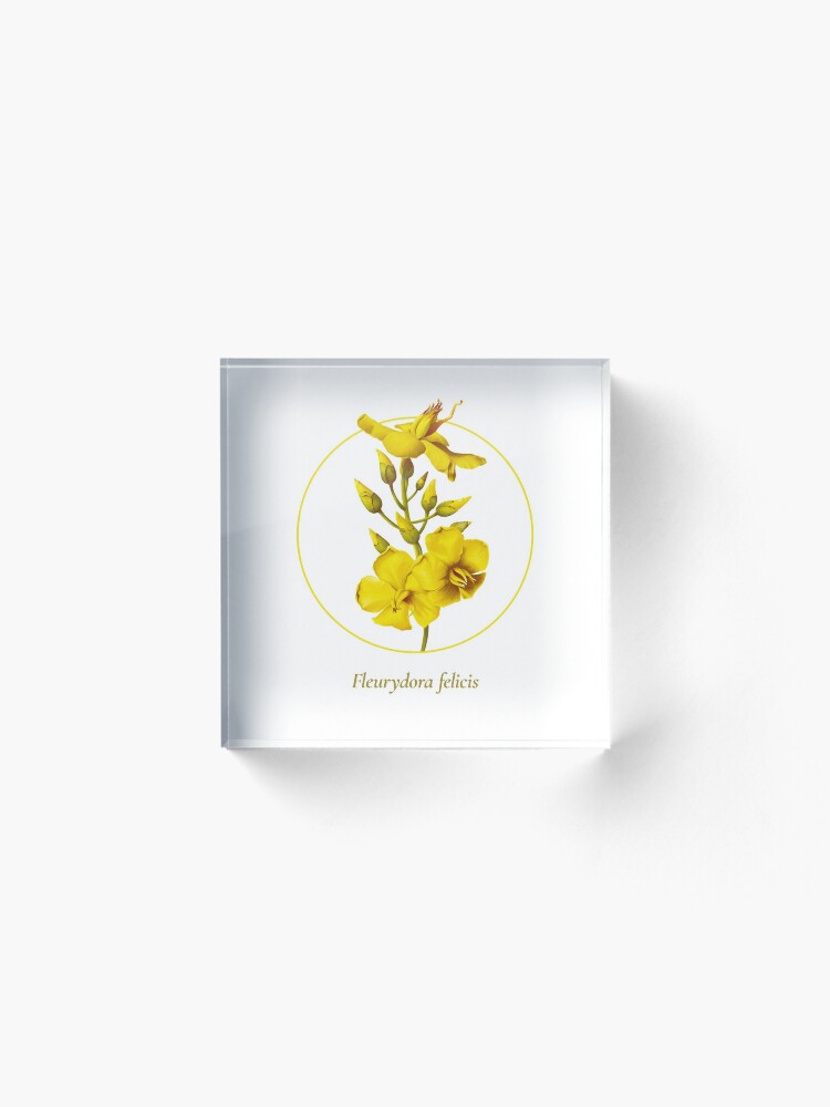 Alternate view of The Circles of Life: Fleurydora felicis Acrylic Block