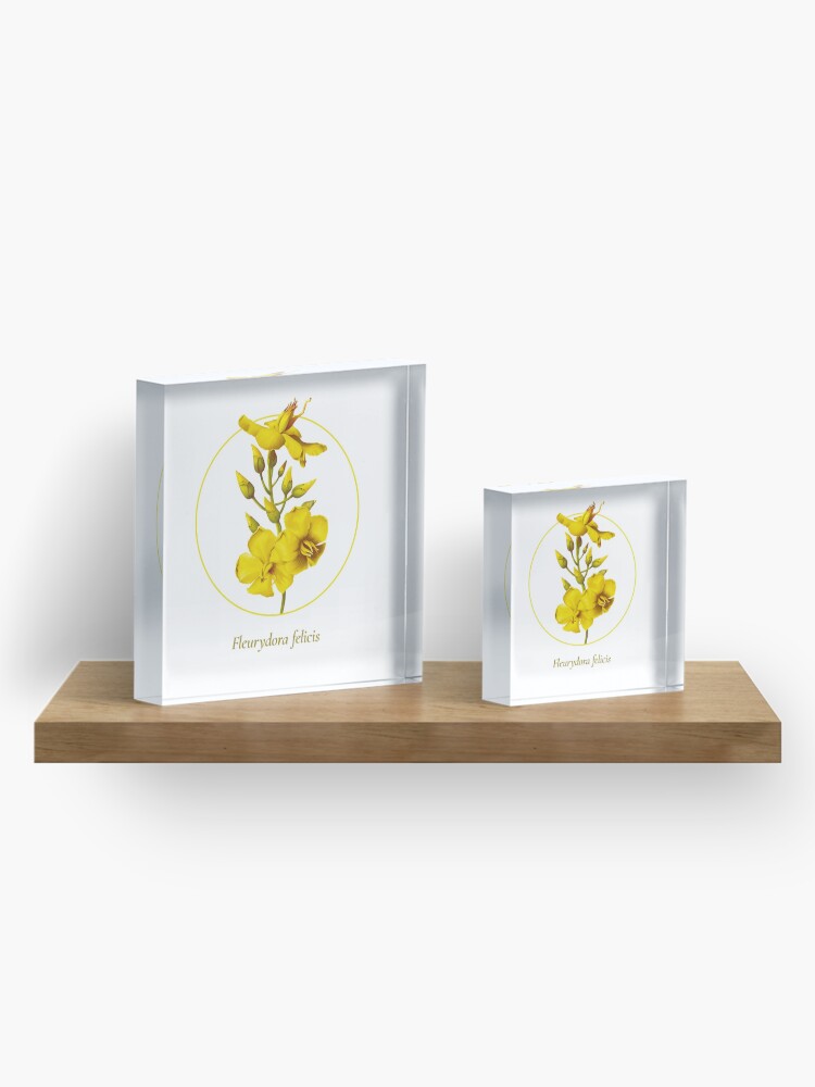 Alternate view of The Circles of Life: Fleurydora felicis Acrylic Block