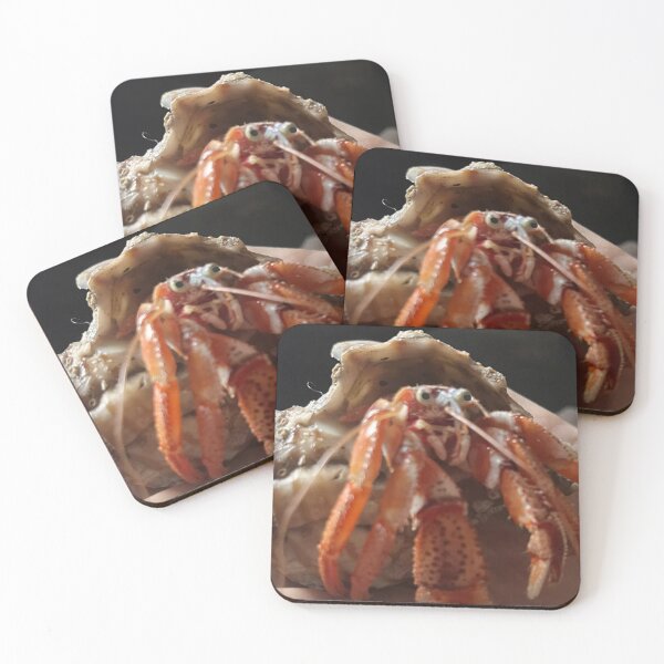 Item preview, Hermit Crab from the Atlantic designed and sold by ArtfulSoules.