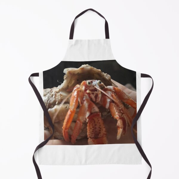 Item preview, Hermit Crab from the Atlantic designed and sold by ArtfulSoules.