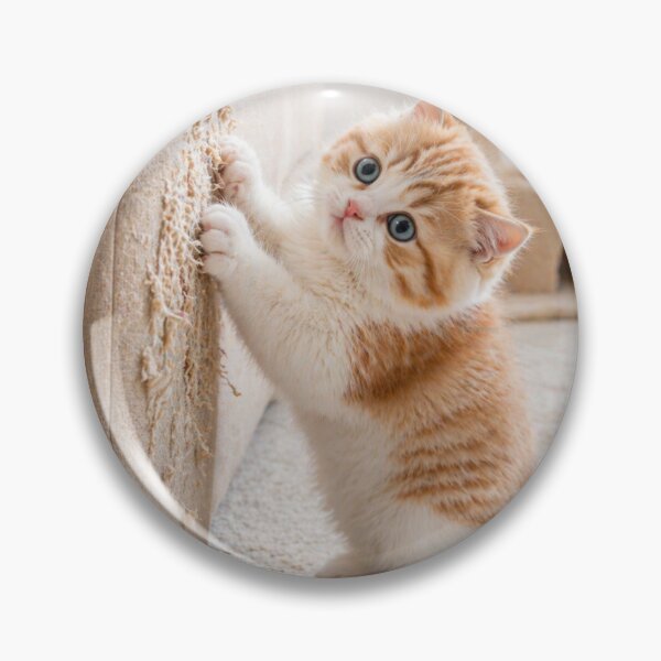 Item preview, Cute Chaos Kitten Scratching Sofa designed and sold by LovelyCatGalaxy.