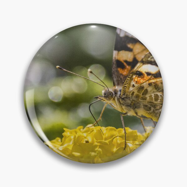 Item preview, Painted Lady Butterfly Feeding on Yellow Lantana Flower in Sunlit Garden Close-Up designed and sold by Nmallia.