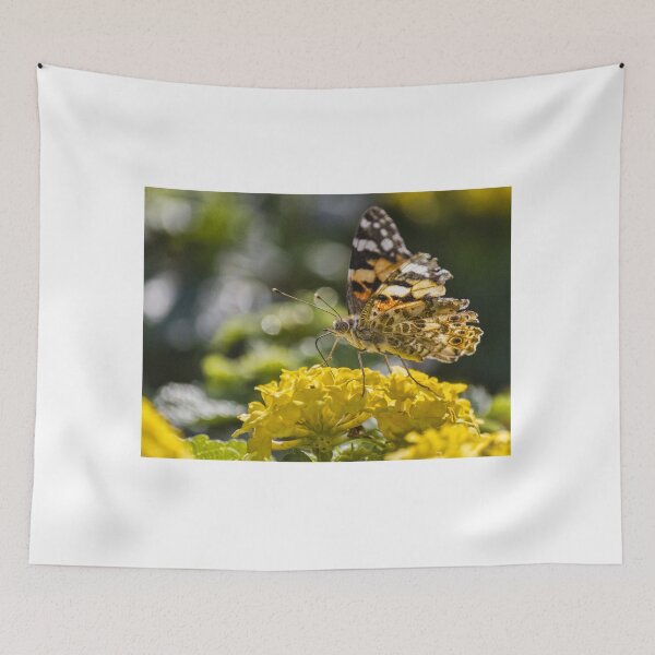 Item preview, Painted Lady Butterfly Feeding on Yellow Lantana Flower in Sunlit Garden Close-Up designed and sold by Nmallia.