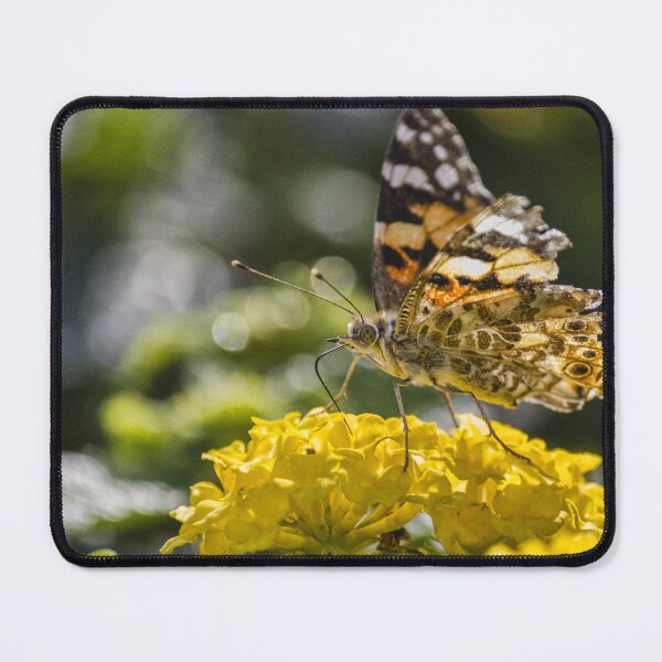 Item preview, Painted Lady Butterfly Feeding on Yellow Lantana Flower in Sunlit Garden Close-Up designed and sold by Nmallia.