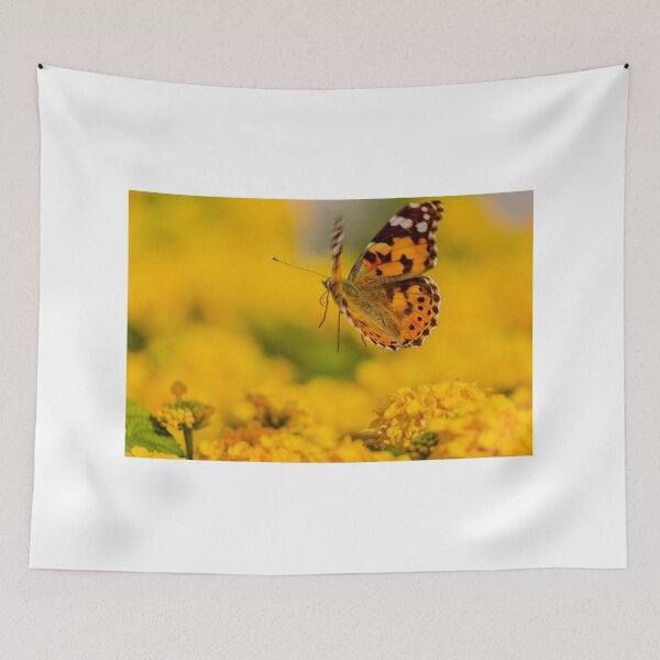 Item preview, Painted Lady Butterfly Hovering Over Bright Yellow Flowers In Sunlit Summer Garden designed and sold by Nmallia.