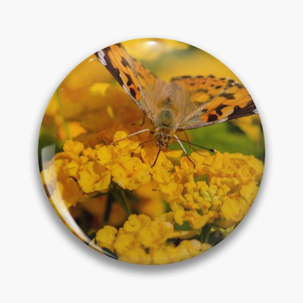 Item preview, Painted Lady Butterfly Hovering Over Bright Yellow Flowers In Sunlit Summer Garden designed and sold by Nmallia.