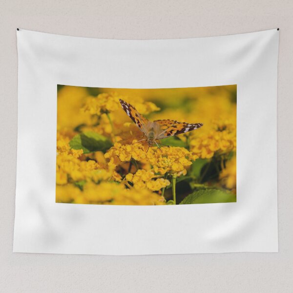 Item preview, Painted Lady Butterfly Hovering Over Bright Yellow Flowers In Sunlit Summer Garden designed and sold by Nmallia.