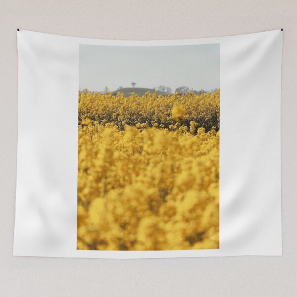 Item preview, Timsbury Hill Rapeseed Landscape designed and sold by duncan1980uk.