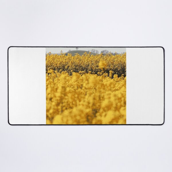 Item preview, Timsbury Hill Rapeseed Landscape designed and sold by duncan1980uk.