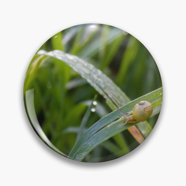Item preview, Small Garden Snail Climbing Thin Twig With Striped Shell Against Soft Green Background designed and sold by Nmallia.