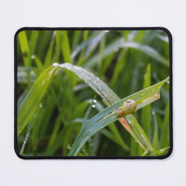 Item preview, Small Garden Snail Climbing Thin Twig With Striped Shell Against Soft Green Background designed and sold by Nmallia.