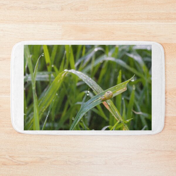 Item preview, Small Garden Snail Climbing Thin Twig With Striped Shell Against Soft Green Background designed and sold by Nmallia.