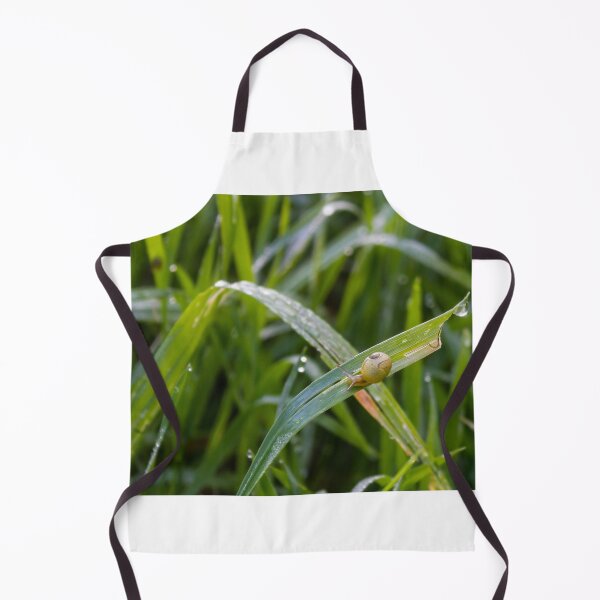 Item preview, Small Garden Snail Climbing Thin Twig With Striped Shell Against Soft Green Background designed and sold by Nmallia.