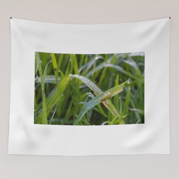 Item preview, Small Garden Snail Climbing Thin Twig With Striped Shell Against Soft Green Background designed and sold by Nmallia.