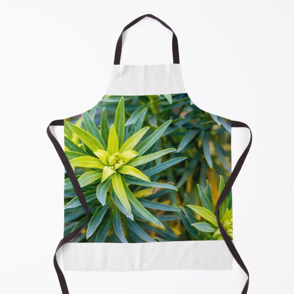 Item preview, Green Star-Shaped Foliage Close-Up With Radial Leaves in Garden Nature Scene designed and sold by Nmallia.