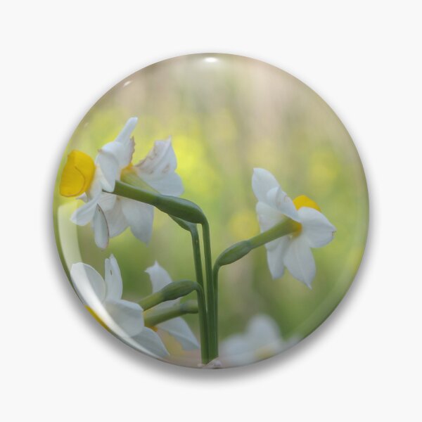 Item preview, White and Yellow Daffodil Cluster in Soft Green Spring Meadow With Shallow Depth of Field designed and sold by Nmallia.