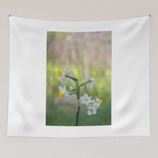 Item preview, White and Yellow Daffodil Cluster in Soft Green Spring Meadow With Shallow Depth of Field designed and sold by Nmallia.
