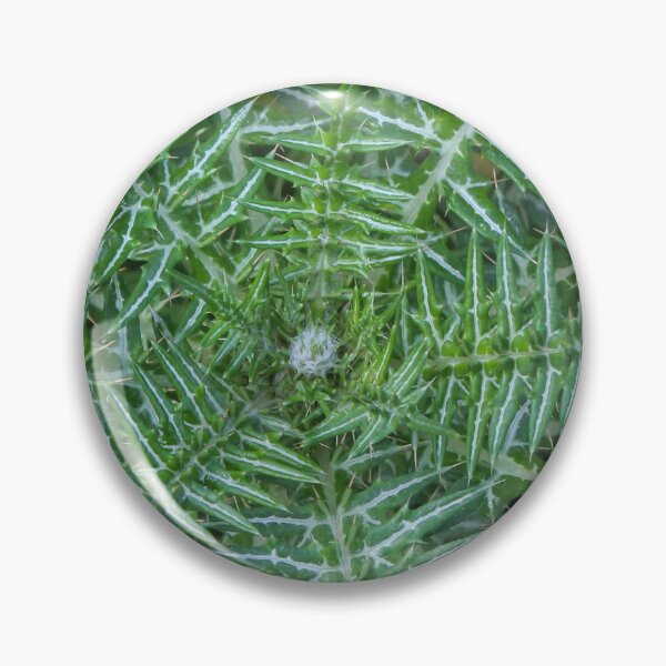 Item preview, Green Spiky Thistle Close-Up Showing Symmetrical Patterned Leaves And Sharp Spines In Nature designed and sold by Nmallia.