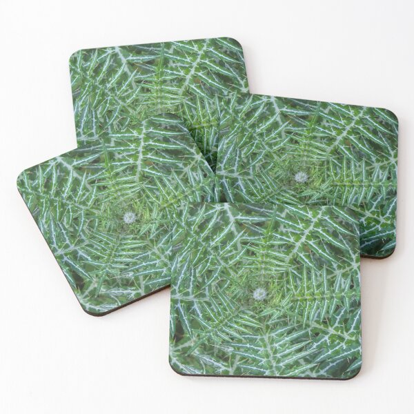 Item preview, Green Spiky Thistle Close-Up Showing Symmetrical Patterned Leaves And Sharp Spines In Nature designed and sold by Nmallia.