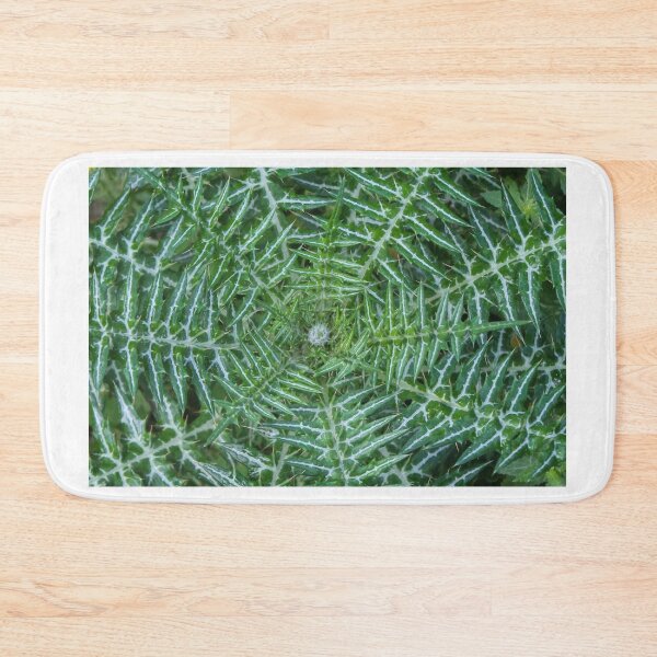 Item preview, Green Spiky Thistle Close-Up Showing Symmetrical Patterned Leaves And Sharp Spines In Nature designed and sold by Nmallia.