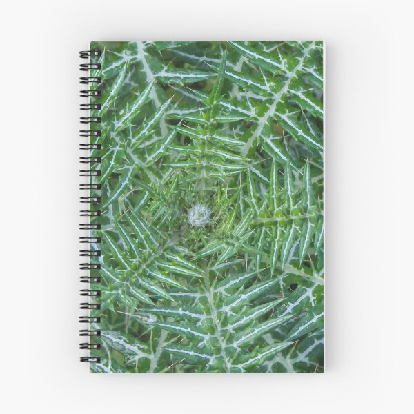 Item preview, Green Spiky Thistle Close-Up Showing Symmetrical Patterned Leaves And Sharp Spines In Nature designed and sold by Nmallia.